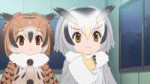 [HorribleSubs] Kemono Friends S2 - 06 [720p]19 Feb 2019 at [...].jpg