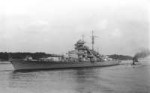 Bismark