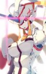 Strelizia.full.2255098.jpg