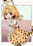 Anime-Kemono-Friends-Serval-(Kemono-Friends)-nazonazo-(nazo[...].jpeg