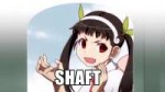 shaft[1].jpg