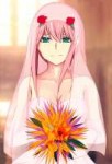 Arsene - Zero Two - Strelitzia (68348585) .png