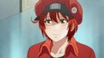 [Erai-raws] Hataraku Saibou - 01 [1080p][Multiple Subtitle][...].jpg