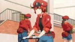 [HorribleSubs] Hataraku Saibou - 08 [1080p].mkvsnapshot00.4[...].jpg