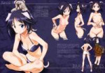 yande.re 431812 sample animalears ass bra bravewitches char[...].jpg