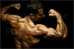 poster-bodybuilder-in-pose-1545935[1].jpg