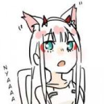 nyaaa.jpeg