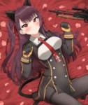 WA2000.jpg