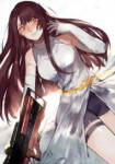 wa2000.jpg.jpg