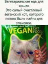 vegancat.jpg