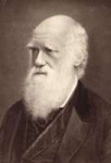 darwinevolution14600.jpg