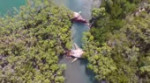 Dead Whales near Fraser Island.webm