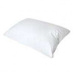 pillow for bonbi.jpg