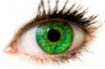 74336292greeneyes1.jpg