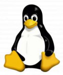 1200px-Tux.svg.png