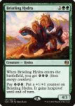 kld-147-bristling-hydra.jpg