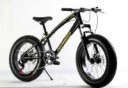 19-Fatbike-Freedom-Mini-20-3-660x456.jpg