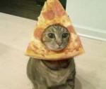 Fuck+bread+cat+long+live+pizza+cat6396ce5155512.jpg