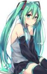 Hatsune.Miku.full.2036039.jpg