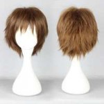 30cm-short-light-brown-anime-man-cosplay-wigs-popular-Japan[...].jpg