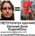 EugeneDzoy петуч.jpg