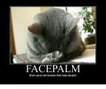 facepalm-even-your-cat-knows-that-was-stupid-26700923.png