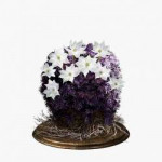 blooming-purple-moss-clump-dish.jpg