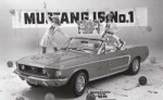 mustang.jpeg