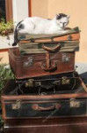 depositphotos70611003-stock-photo-old-leather-suitcases-and[...].jpg