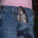 fish pants.jpg