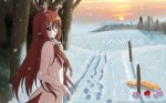 snowspiceandwolf-2ivf.jpg