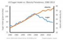 ussugarintake.jpg