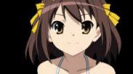 Suzumiya.Haruhi.full.71219.jpg