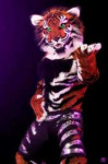 3158e37360fab77af02a12d7176c8836--tiger-dance-fursuit.jpg