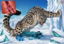 1499383458.del.konsnowleopardracoonsmallfa.jpg