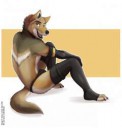 coyDaniel-Yote-Lounging-Yote