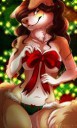 1481670791.etuixdecemberpinup-fa.png