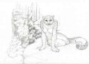 1434756173.doodlepadsnowleopard.jpg