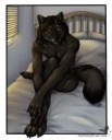 furry-фэндомы-furry-art-furry-wolf-1146019.png