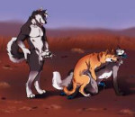 feral3134331bluepawzbluepawaustralia3.png