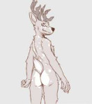 deer1574444630.vimeshehdeerbutt.png