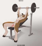 deerShiuk-Bench-Press.png