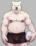 mc1485304079.madcow100polarbearrugby-pinup.jpeg