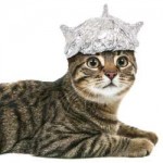 TinFoilHatCat.jpg