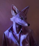 c1540184178.apricotjackalblueyote2.png