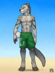 fit6c1414117206.kerkfikankerkotterwolfgreentrunks.jpeg