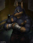 fit3i1418947643.cinnatreek9boxerfuraffinity.jpg