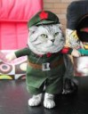 Communist-Cat-Costume-01[1].png