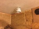 Ceiling cup.jpg