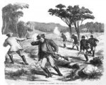 CAPTURE AND DEATH OF GILBERT THE BUSHRANGER0.jpg